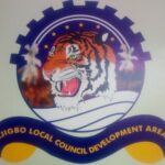 Local Government Is Not Small Government — It Is the Whole Government, Up Close
